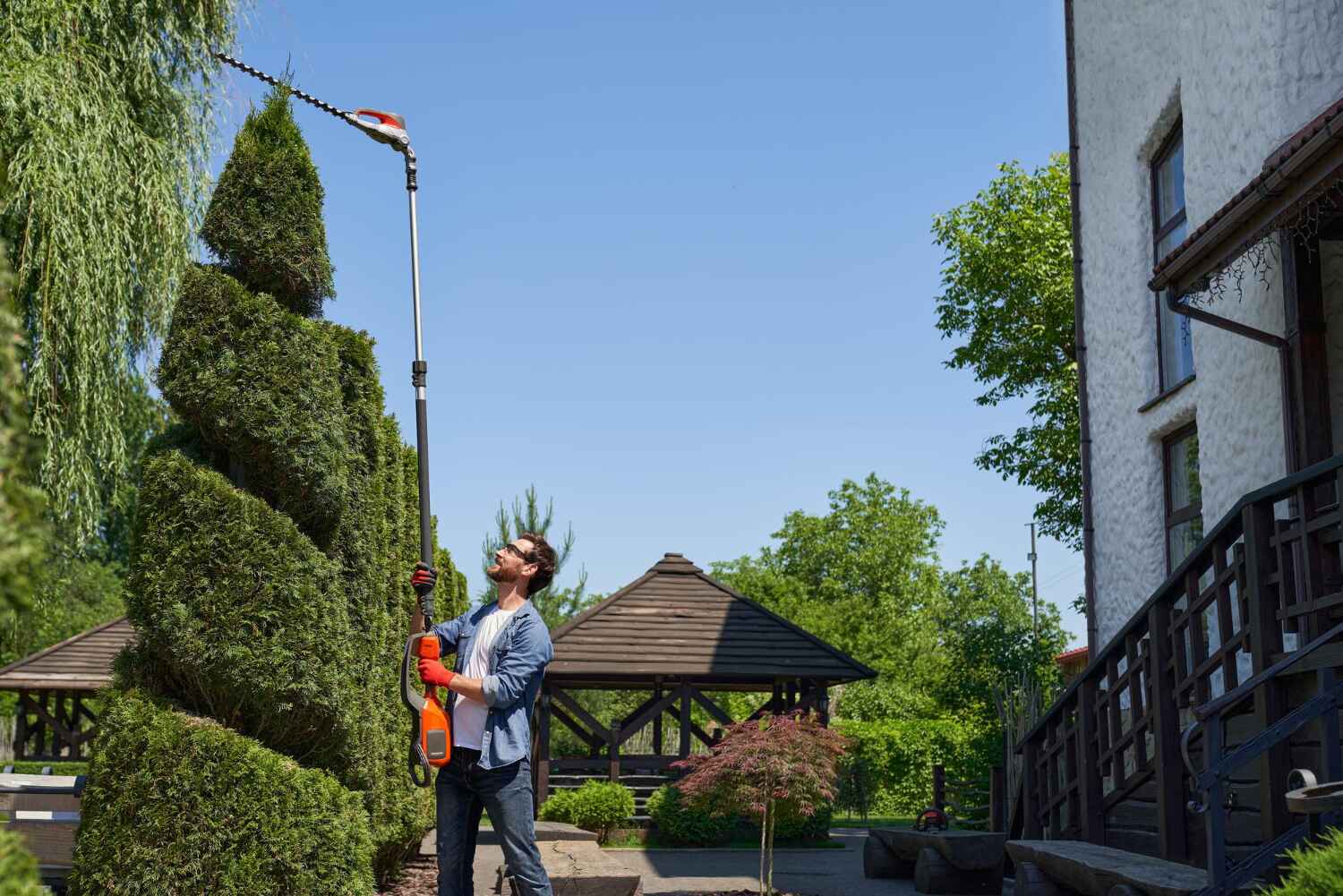 Best Tree Pruning Services  in Edgewood, FL